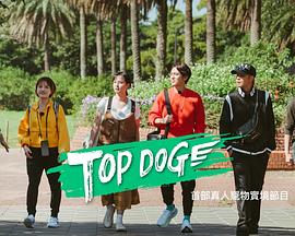 懂色帝官网《TOP DOG》免费在线观看
