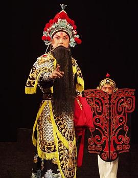 成人b站《袁崇焕2009》免费在线观看